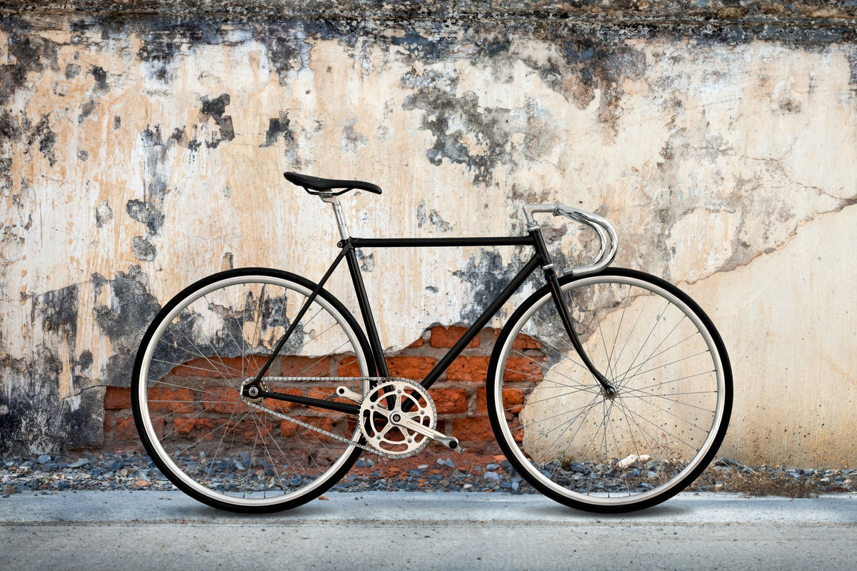 5 reasons why everyone should own a single speed bike | Single Speed Cycles